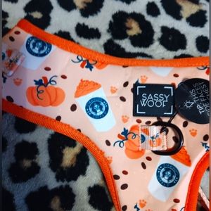 Orange pumkin spice harness from sassy woof new with Tags size XL